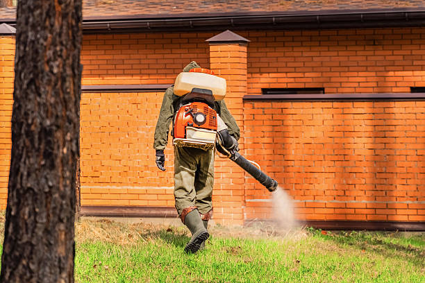Trusted Termite Control service in Kings Beach, CA - Nex Pest Control